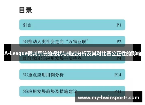 A-League裁判系统的现状与挑战分析及其对比赛公正性的影响